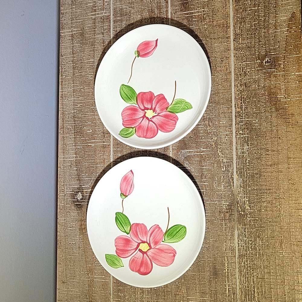 Vintage Set of 2 Stetson "Rio" Plates